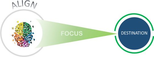 Align_Focus_Target_1